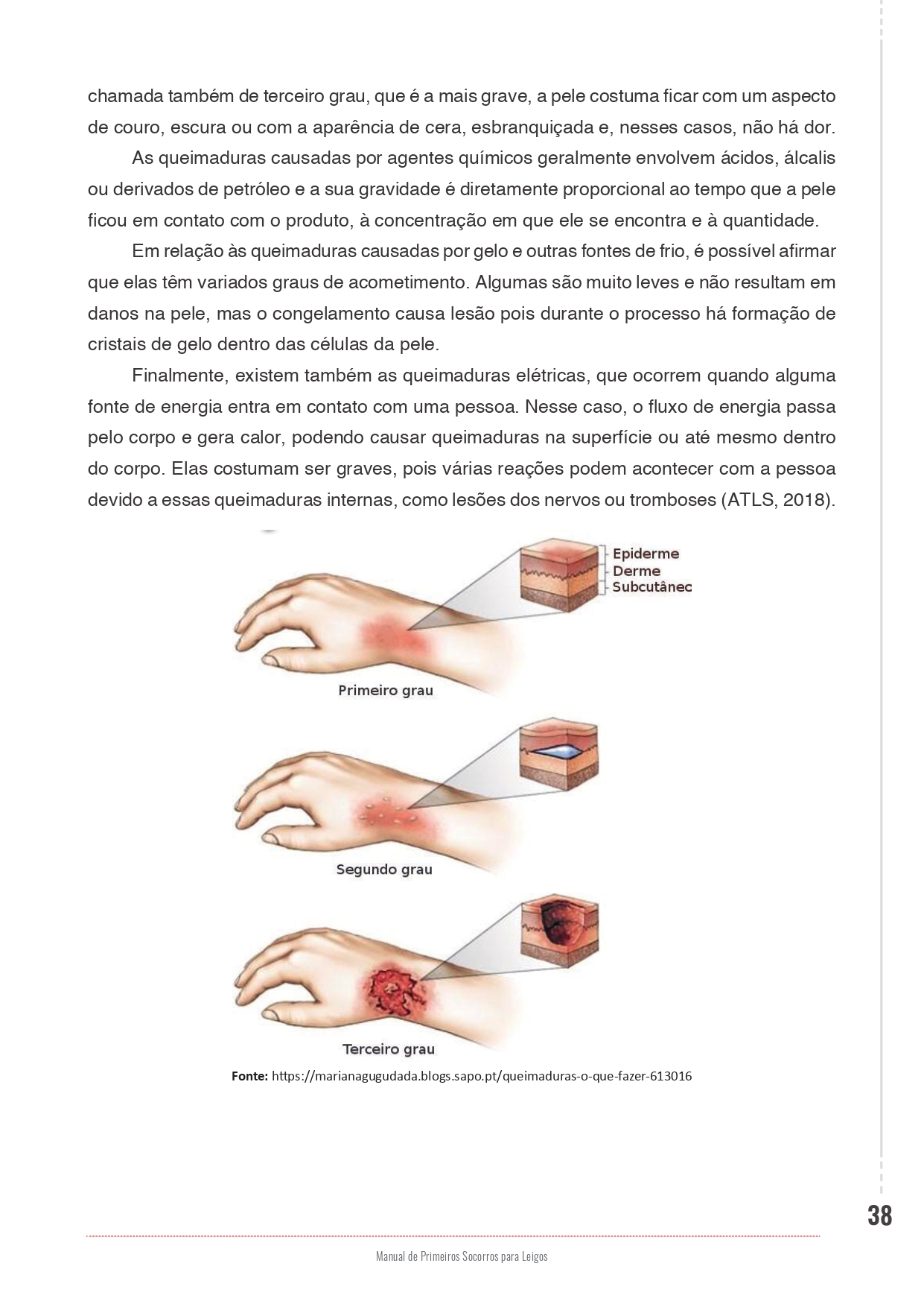 Imagem 1